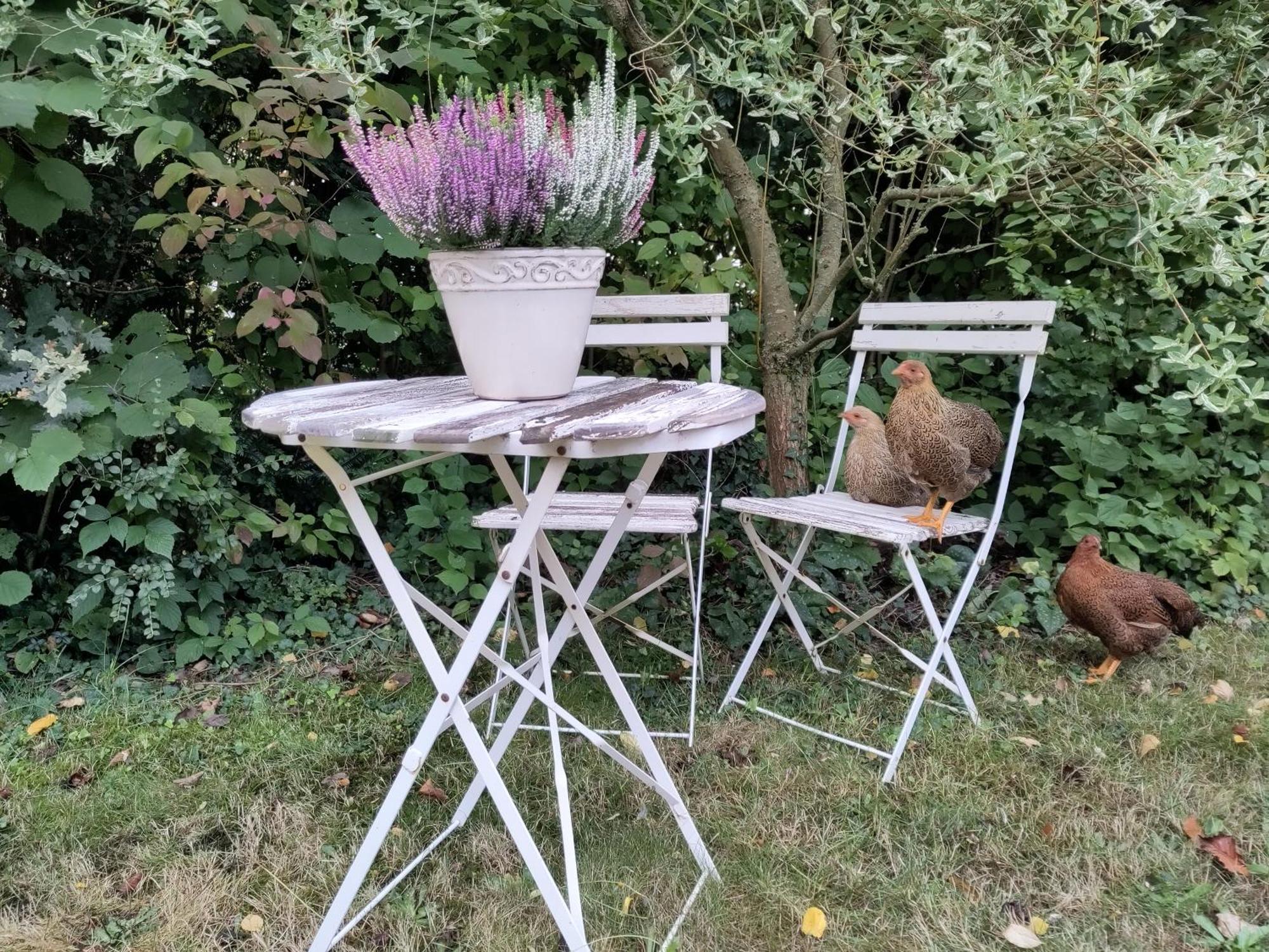 Ruhige Ferienwohnung „Suedhang“ Direkt Am Wald Bad Arolsen Exterior photo