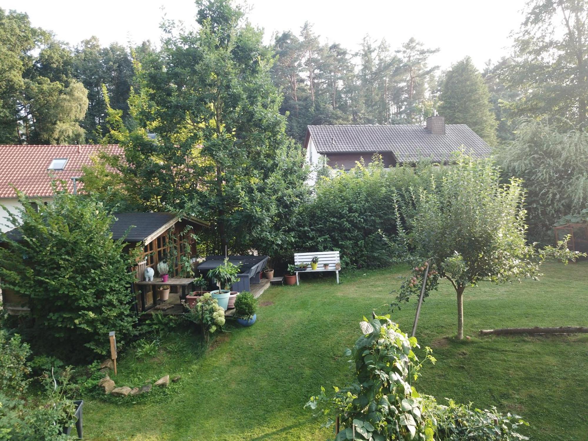 Ruhige Ferienwohnung „Suedhang“ Direkt Am Wald Bad Arolsen Exterior photo